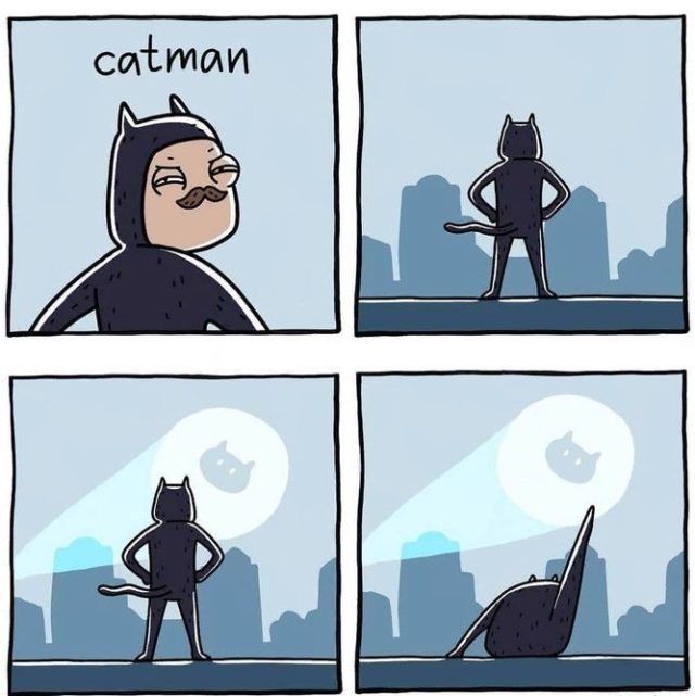 1527689411_2